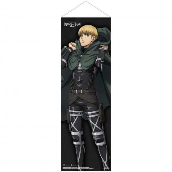 Attack on Titan Final Season Slim Fabric Wall Scroll: Armin Arlelt 30cm x 90cm Attack on Titan Final Season Slim Fabric Wall Scroll: Armin Arlelt 30cm x 90cm